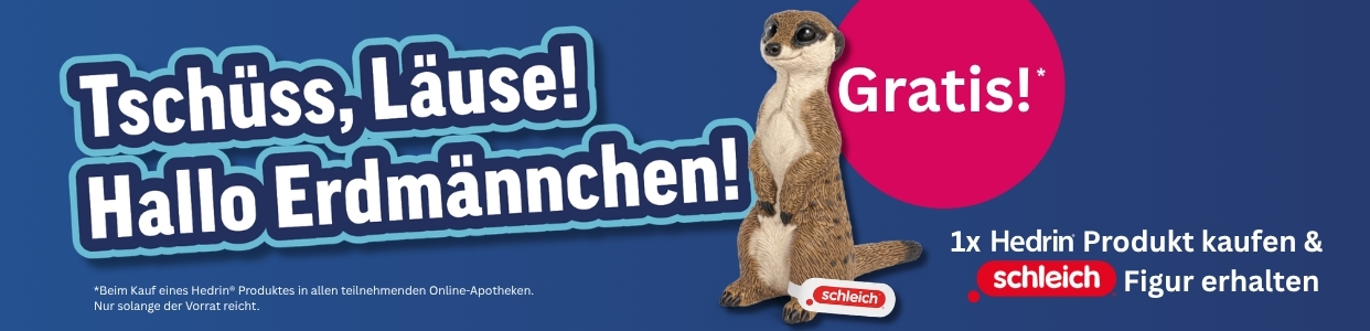 Bannerbild