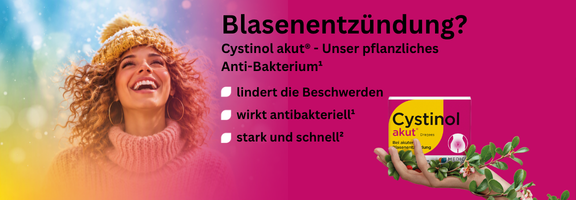 Bannerbild