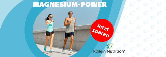 Bannerbild
