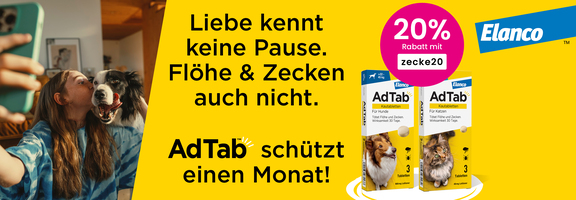Bannerbild