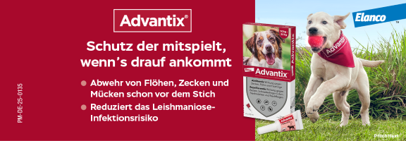 Bannerbild