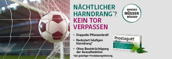 Bannerbild