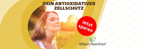 Bannerbild