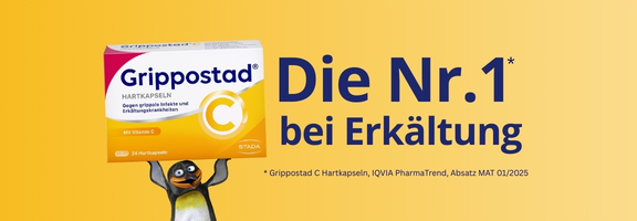 Bannerbild