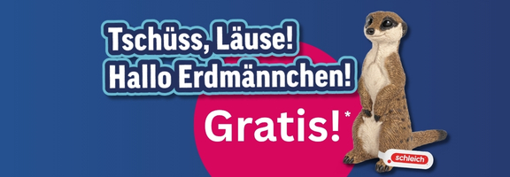 Bannerbild