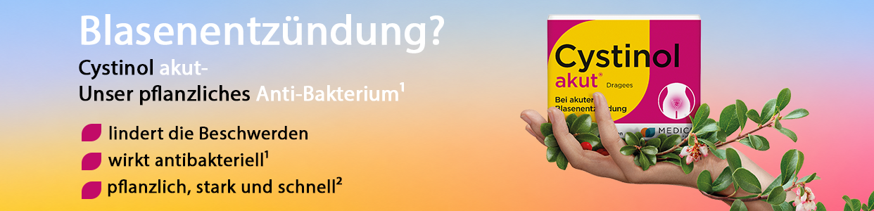 Bannerbild