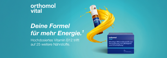 Bannerbild