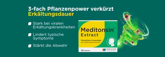 Bannerbild