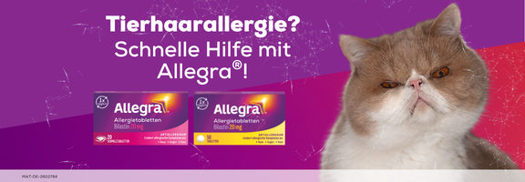 Bannerbild