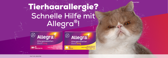 Bannerbild