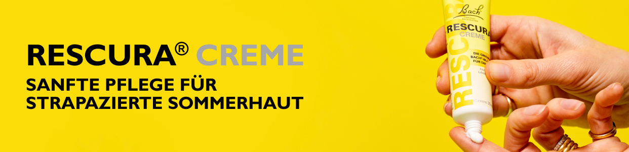 Bannerbild