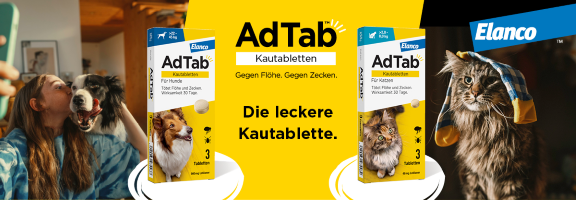 Bannerbild