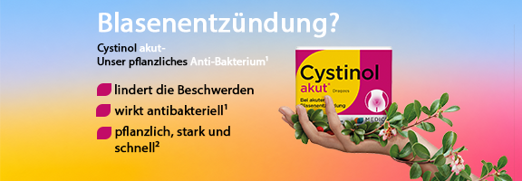 Bannerbild