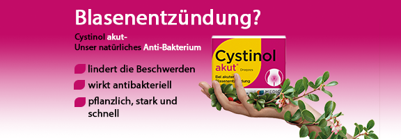 Bannerbild