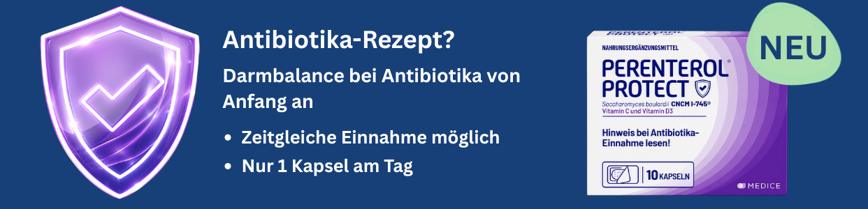 Bannerbild