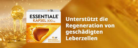 Bannerbild