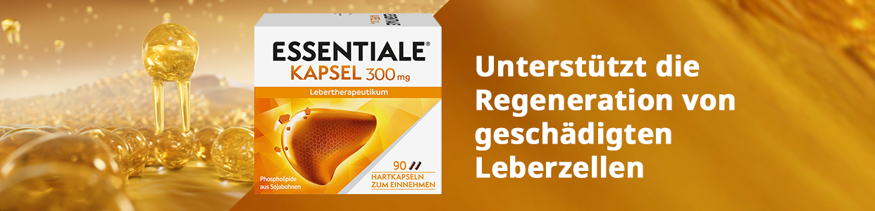 Bannerbild