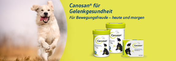 Bannerbild