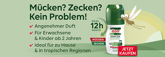 Bannerbild