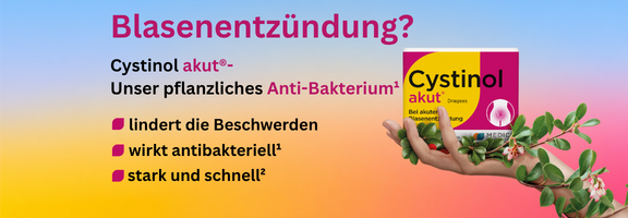 Bannerbild