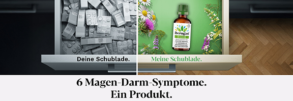 Bannerbild
