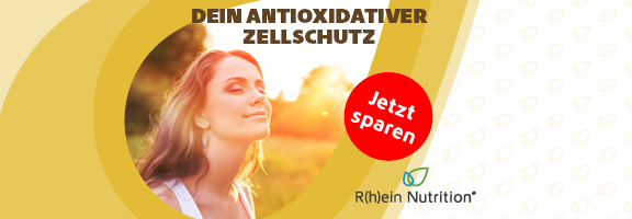 Bannerbild