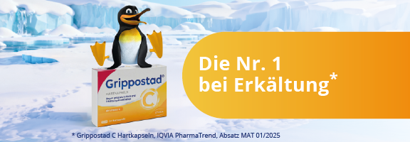 Bannerbild