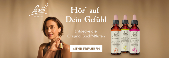 Bannerbild