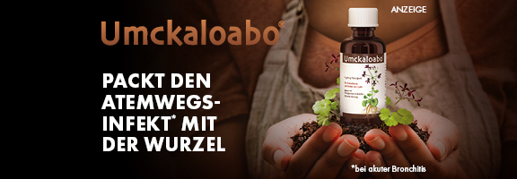 Bannerbild