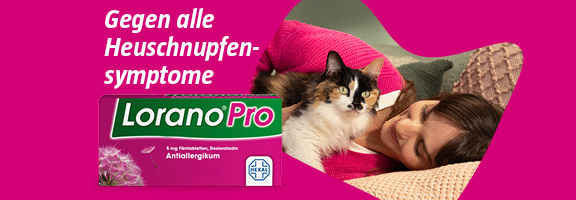 Bannerbild