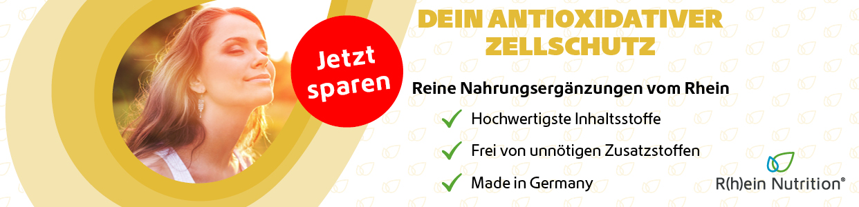 Bannerbild