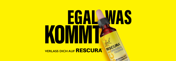 Bannerbild
