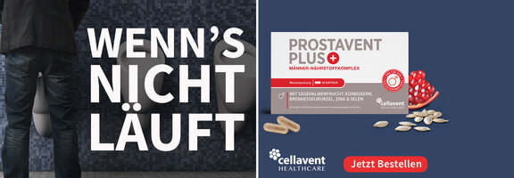 Bannerbild
