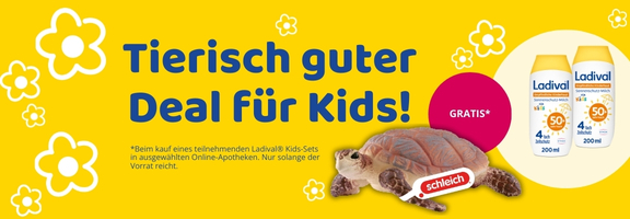 Bannerbild