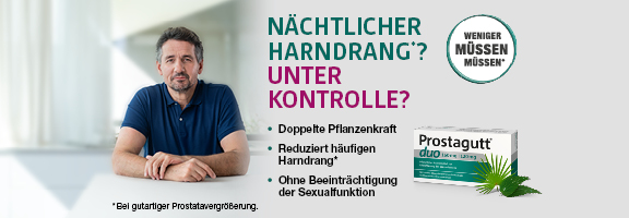 Bannerbild