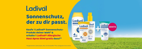 Bannerbild