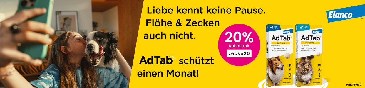 Bannerbild