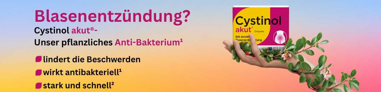 Bannerbild