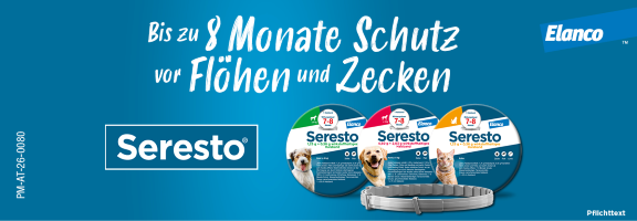 Bannerbild