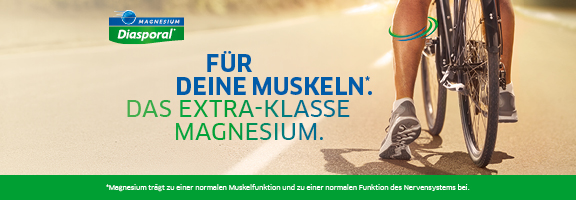 Bannerbild