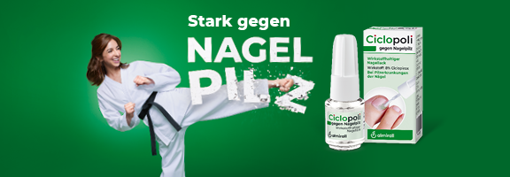 Bannerbild