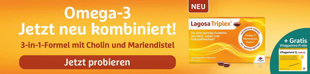 Bannerbild