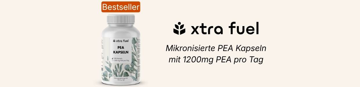 Bannerbild